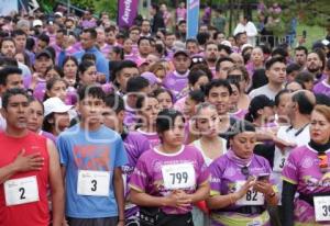 CARRERA DEL ABOGADO