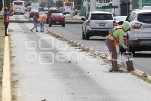 PROGRAMA ESTATAL DE MANTENIMIENTO