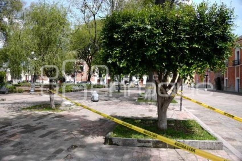 TLAXCALA . MANTENIMIENTO PLAZA CONSTITUCIÓN