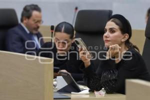 CONGRESO . SESIÓN ORDINARIA