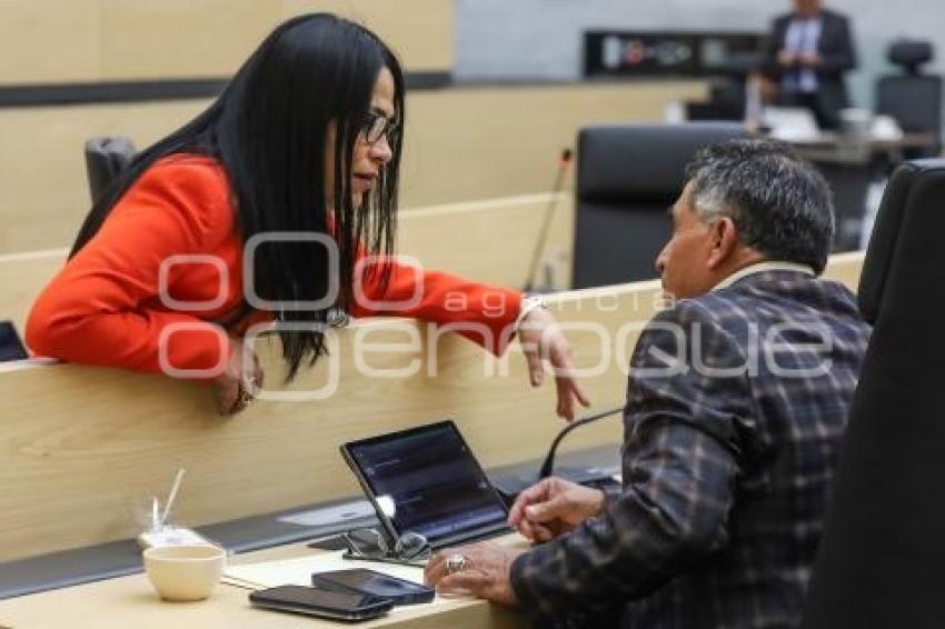 CONGRESO . SESIÓN ORDINARIA