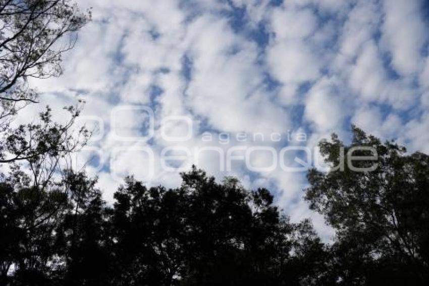 TLAXCALA . CIELO ABORREGADO