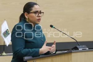CONGRESO . SESIÓN PERMANENTE