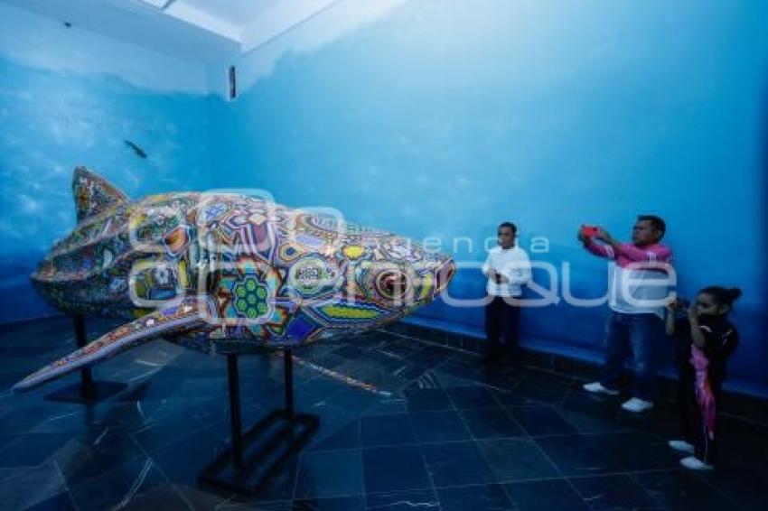 EXPOSICIÓN . MURMULLO DE LOS OCÉANOS