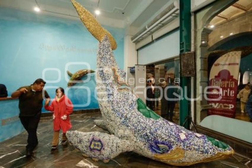 EXPOSICIÓN . MURMULLO DE LOS OCÉANOS