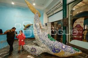 EXPOSICIÓN . MURMULLO DE LOS OCÉANOS