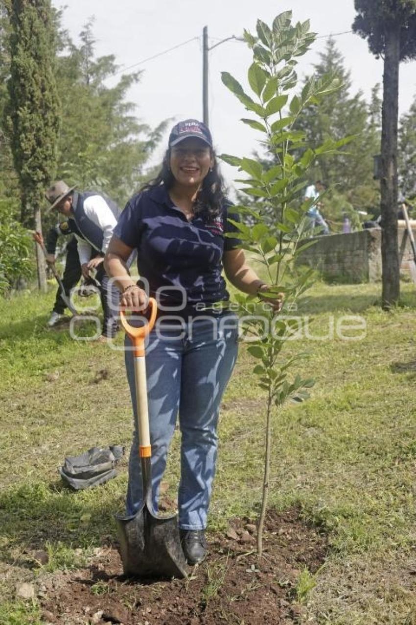 SAN ANDRÉS CHOLULA . REFORESTACIÓN