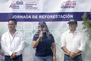 SAN ANDRÉS CHOLULA . REFORESTACIÓN