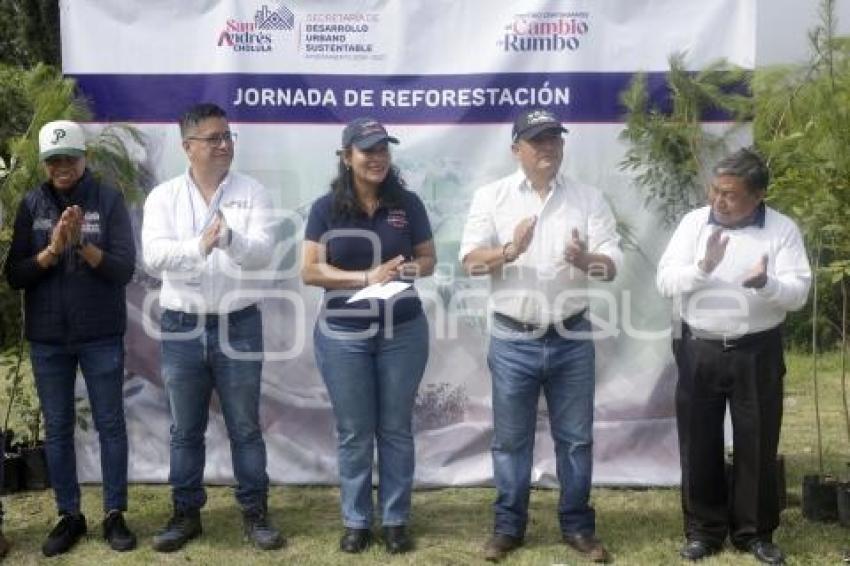 SAN ANDRÉS CHOLULA . REFORESTACIÓN