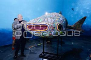 EXPOSICIÓN . MURMULLO DE LOS OCÉANOS