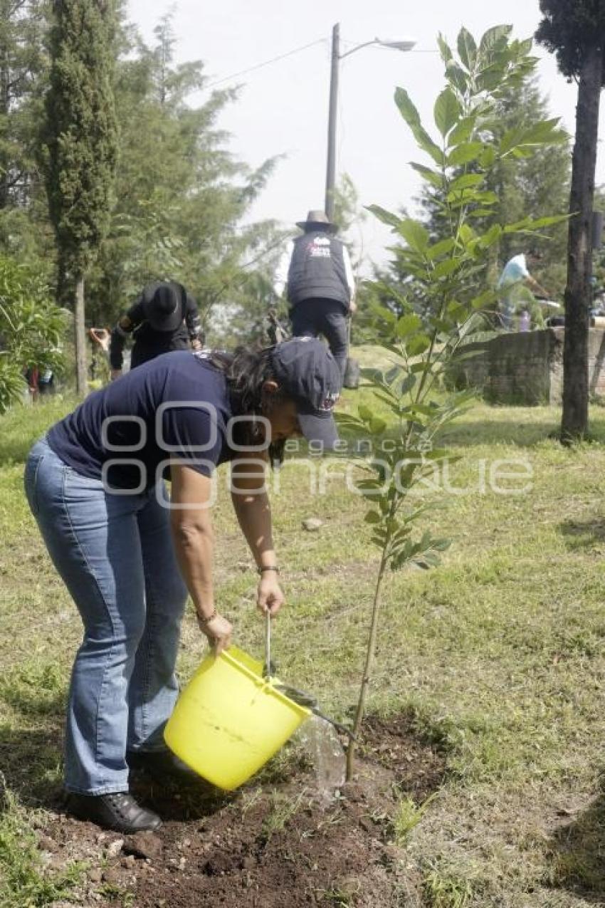 SAN ANDRÉS CHOLULA . REFORESTACIÓN