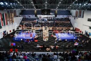 OLIMPIADA NACIONAL 2025 . BOX