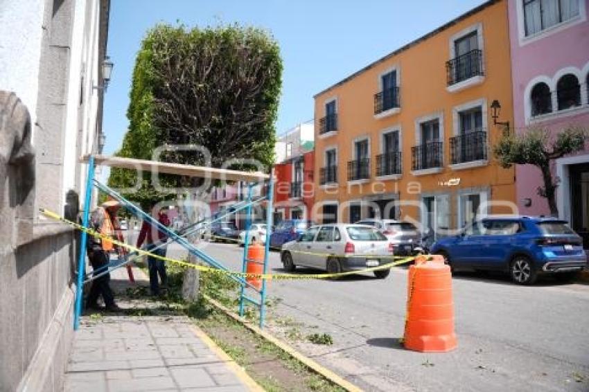 TLAXCALA . PODA DE ÁRBOLES