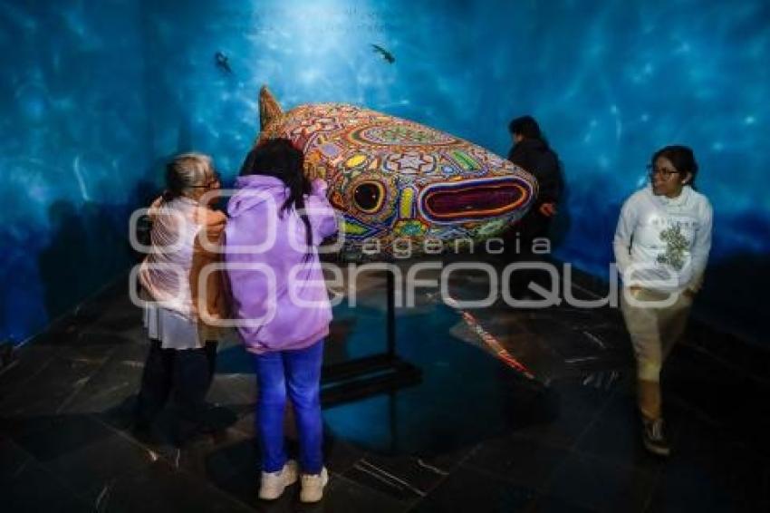 NOCHE DE MUSEOS