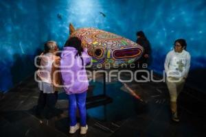 NOCHE DE MUSEOS