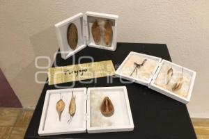 TLAXCALA . EXPOSICIÓN PALABRAS GUARDADAS
