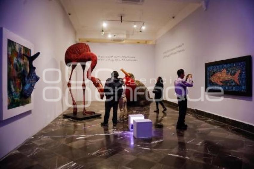 NOCHE DE MUSEOS