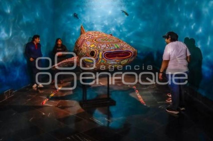 NOCHE DE MUSEOS