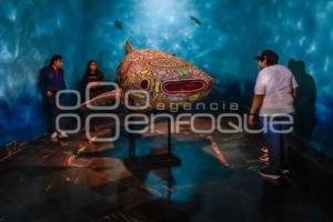 NOCHE DE MUSEOS