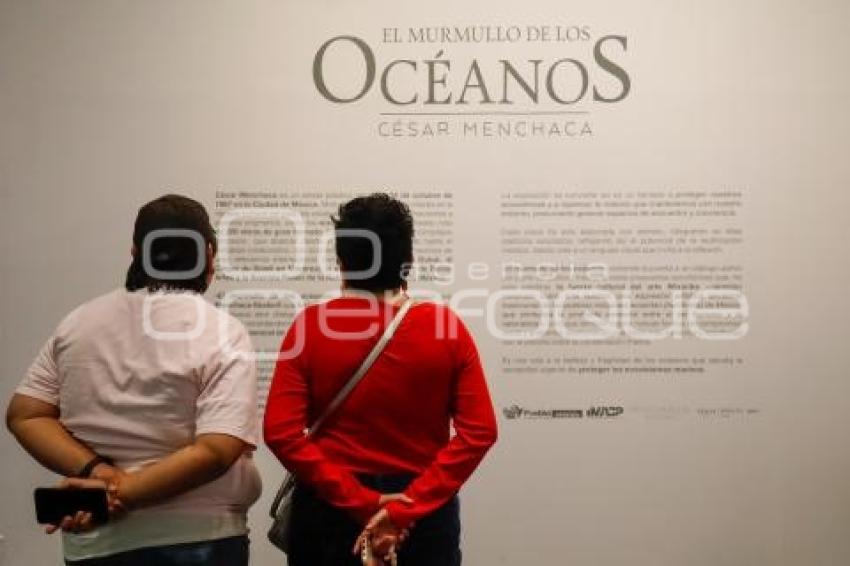 NOCHE DE MUSEOS