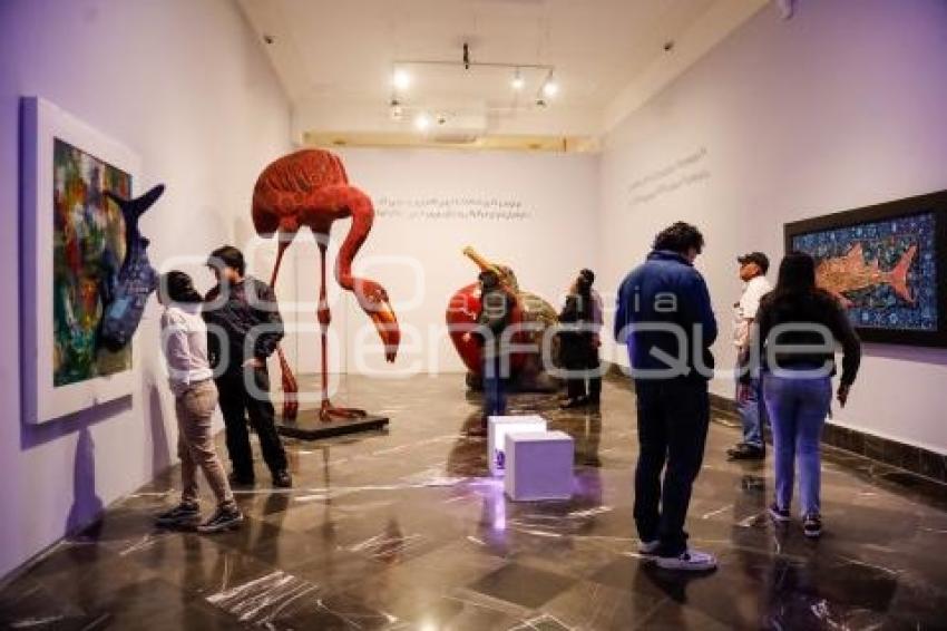 NOCHE DE MUSEOS