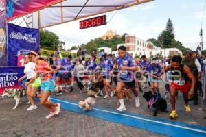 SAN ANDRÉS CHOLULA . PRIMERA CARRERA CANINA