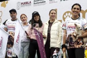 LOMITOS IMPARABLE POR AMOR A PUEBLA