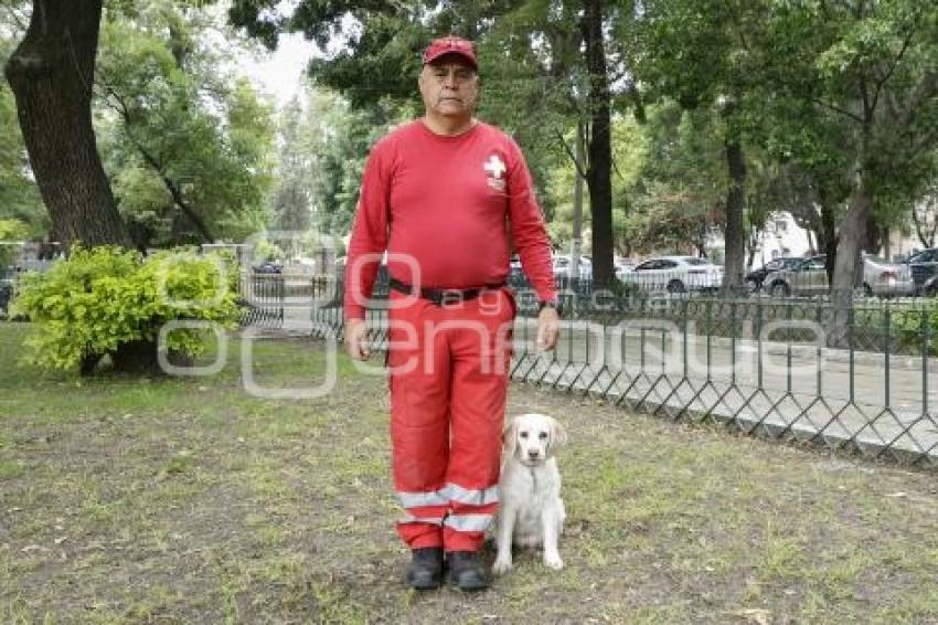 CRUZ ROJA . PERROS RESCATISTAS