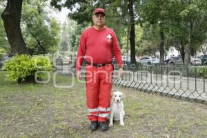 CRUZ ROJA . PERROS RESCATISTAS