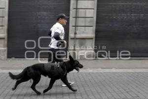 LOMITOS IMPARABLES POR AMOR A PUEBLA