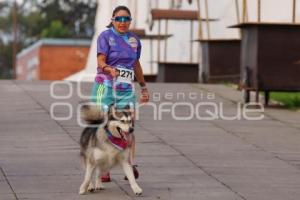 SAN ANDRÉS CHOLULA . PRIMERA CARRERA CANINA