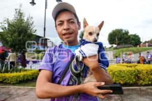 SAN ANDRÉS CHOLULA . PRIMERA CARRERA CANINA