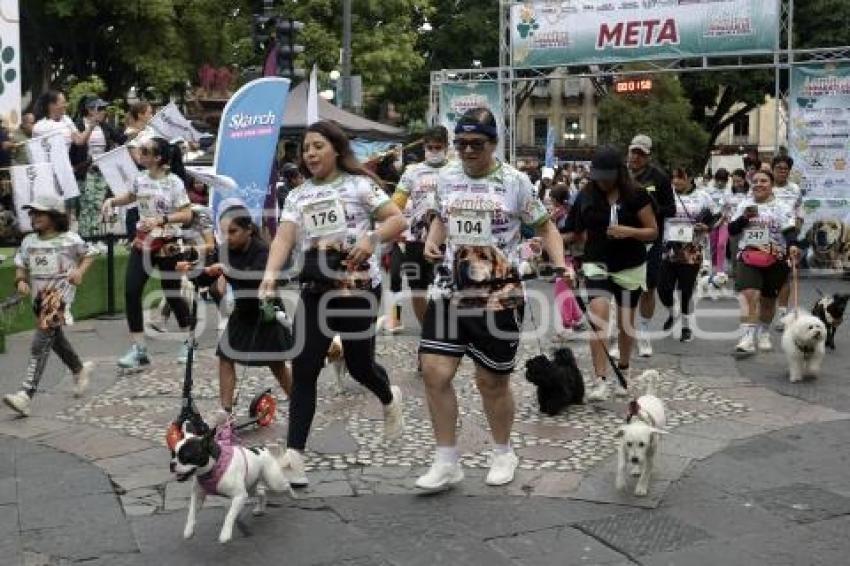 LOMITOS IMPARABLES POR AMOR A PUEBLA