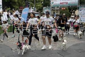 LOMITOS IMPARABLES POR AMOR A PUEBLA
