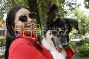 CRUZ ROJA . PERROS RESCATISTAS