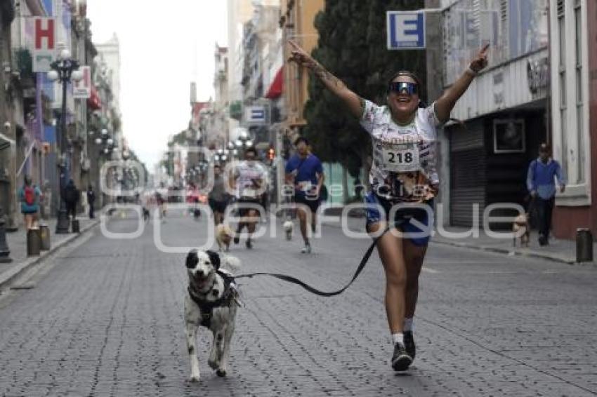 LOMITOS IMPARABLES POR AMOR A PUEBLA