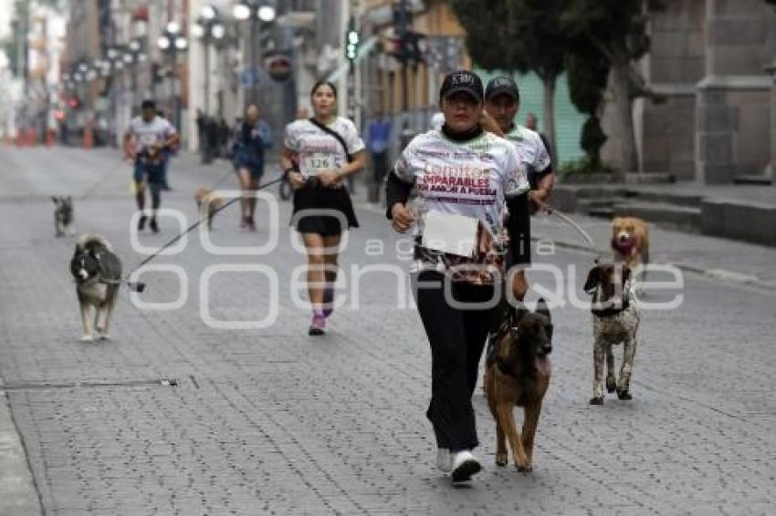 LOMITOS IMPARABLES POR AMOR A PUEBLA
