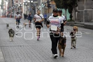 LOMITOS IMPARABLES POR AMOR A PUEBLA