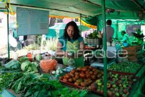 TLAXCALA . MERCADO ALTERNATIVO