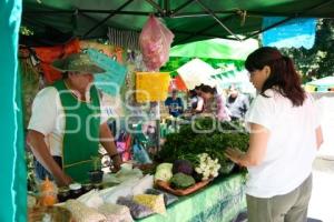 TLAXCALA . MERCADO ALTERNATIVO
