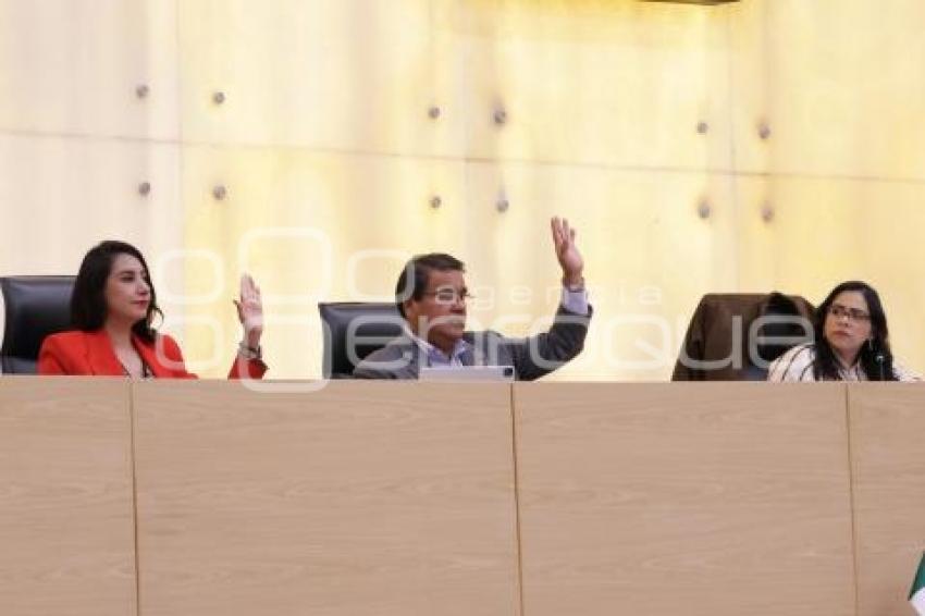 CONGRESO . COMISIÓN PERMANENTE