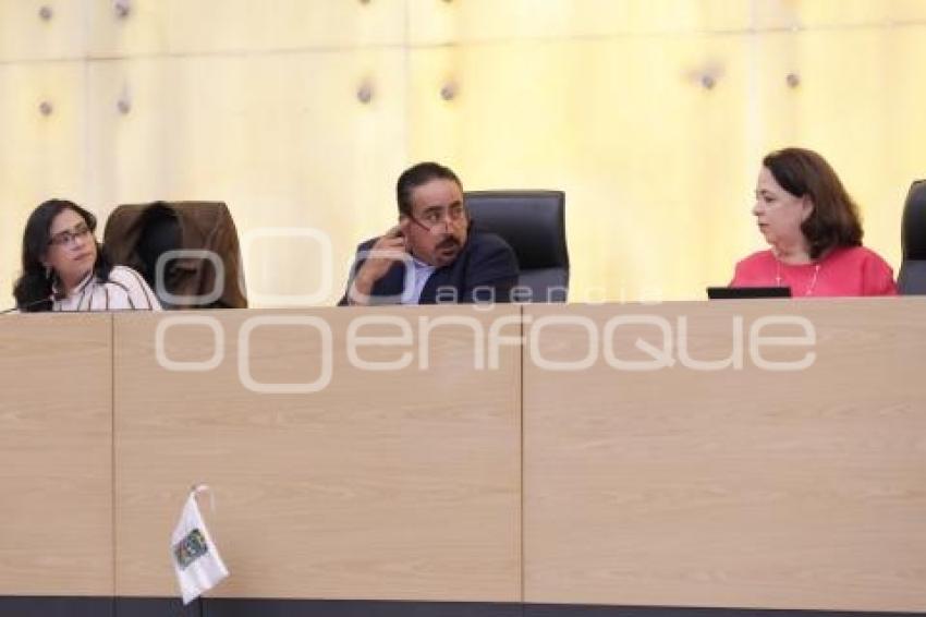 CONGRESO . COMISIÓN PERMANENTE