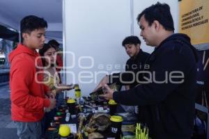 ENCUENTRO PROFESIONAL CON UNIVERSIDADES