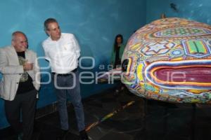 MURMULLO DE LOS OCÉANOS . JOSÉ CHEDRAUI