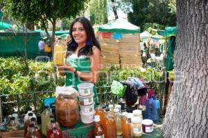 TLAXCALA . MERCADO ALTERNATIVO