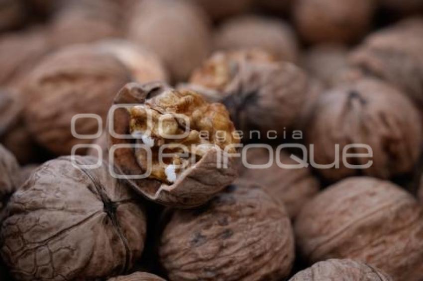 TLAXCALA . VENTA NUEZ DE CASTILLA