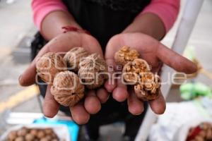 TLAXCALA . VENTA NUEZ DE CASTILLA