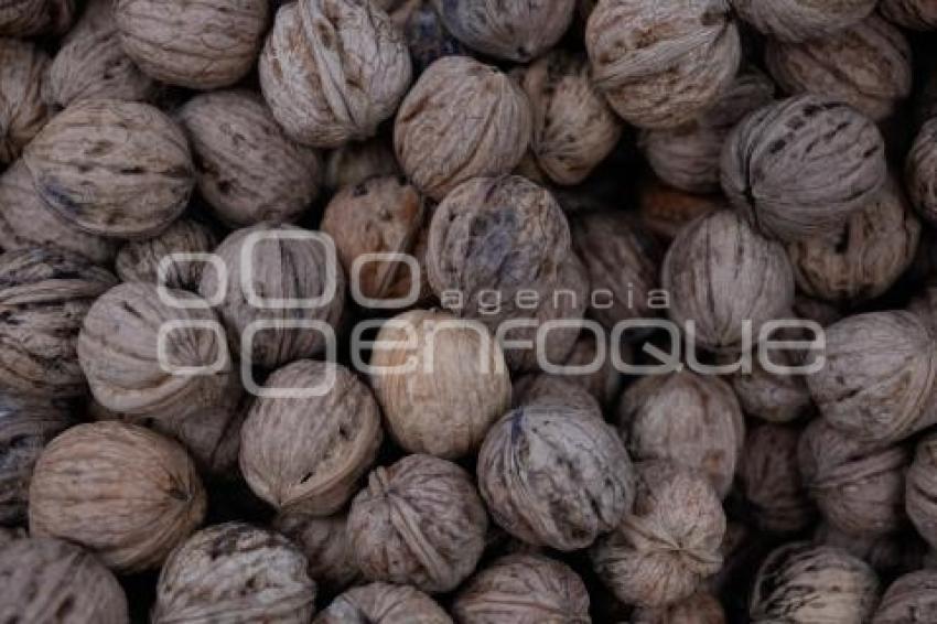 TLAXCALA . VENTA NUEZ DE CASTILLA