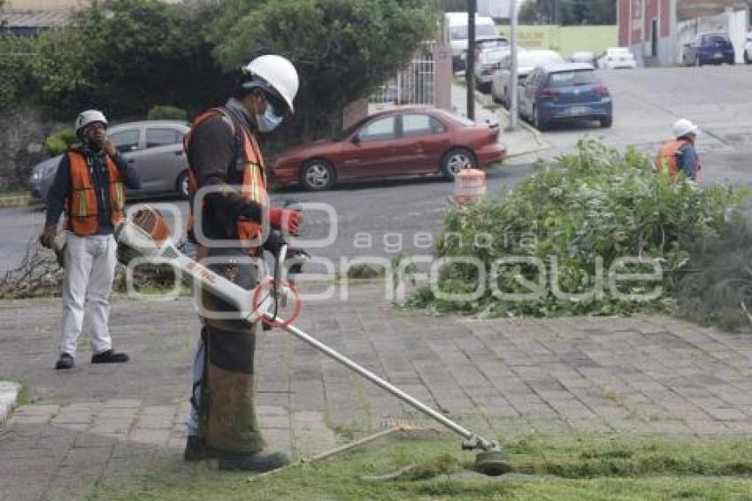 GOBIERNO ESTATAL . FAENA INTEGRAL SEGURIDAD