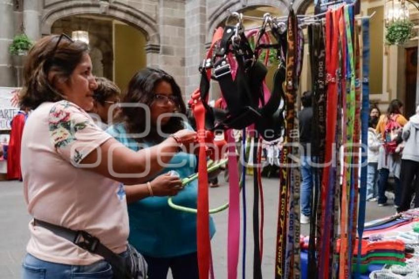 EXPO ORGANIZACIÓNES CIVILES